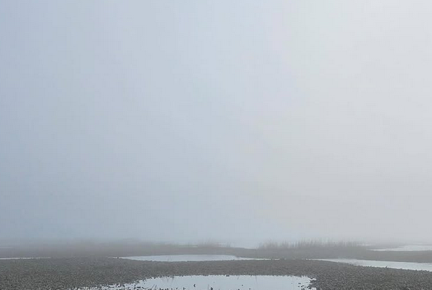 Matanzas River Fog