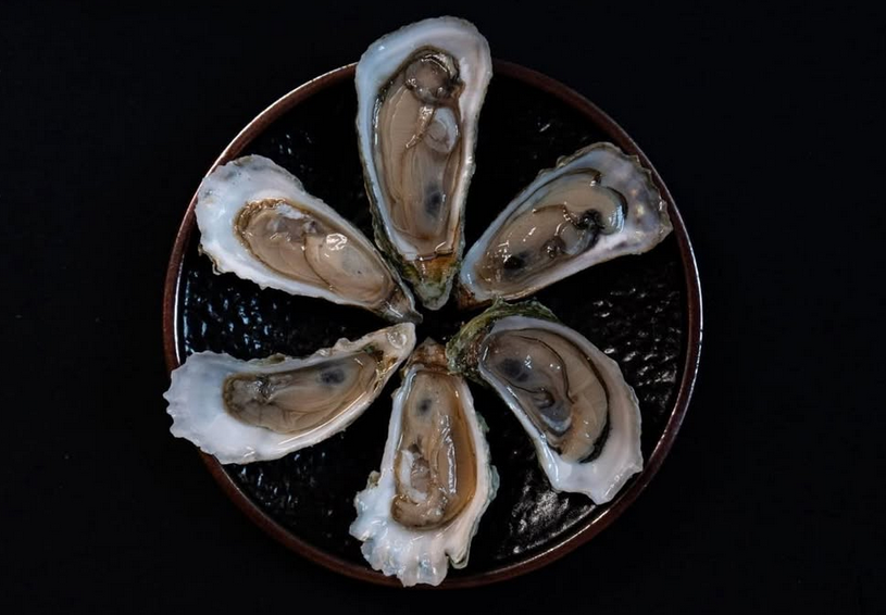 Oyster close-up